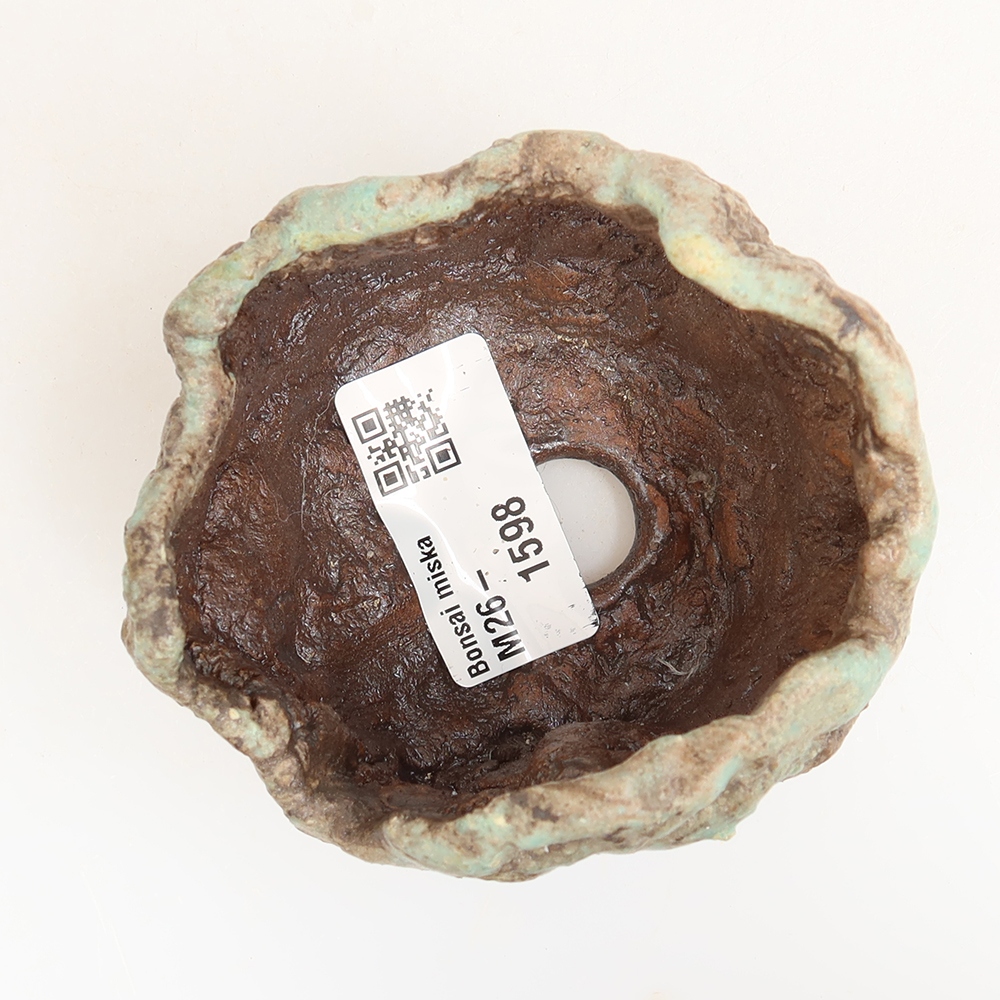 Keramische schelp 7 x 6 x 6 cm , kleur groen