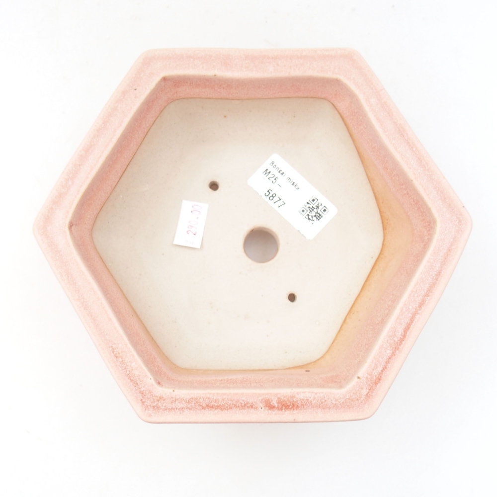 Bonsaischaal van keramiek 22 x 17 x 5 cm, groen