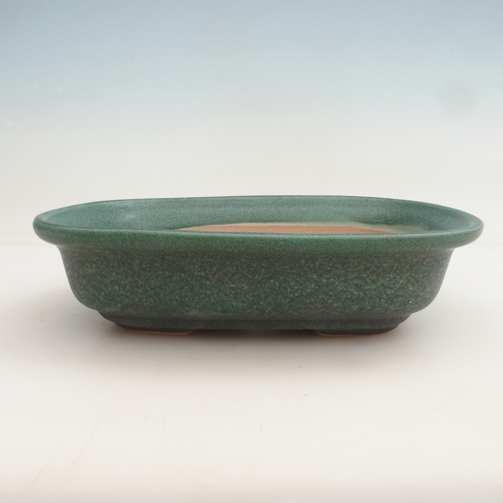 Bonsaischaal H25 - 23 x 17 x 5,5 cm - groen
