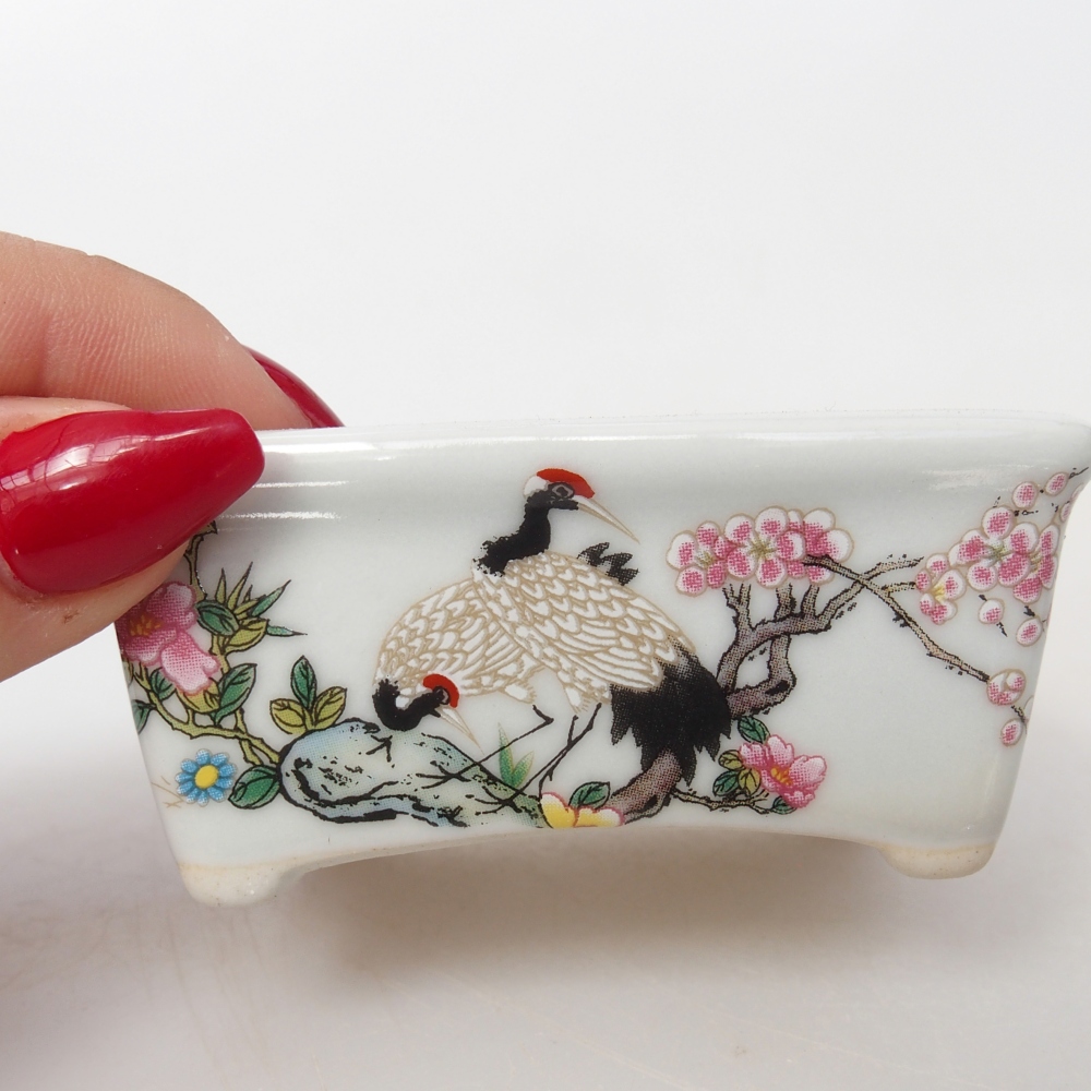 Mini bonsaischaal 8 x 6,5 x 3,5 cm, wit