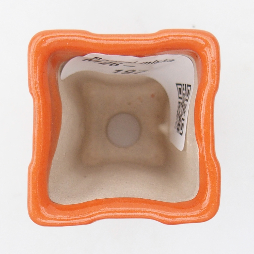 Mini bonsaischaal 3,5 x 3,5 x 5,5 cm, oranje