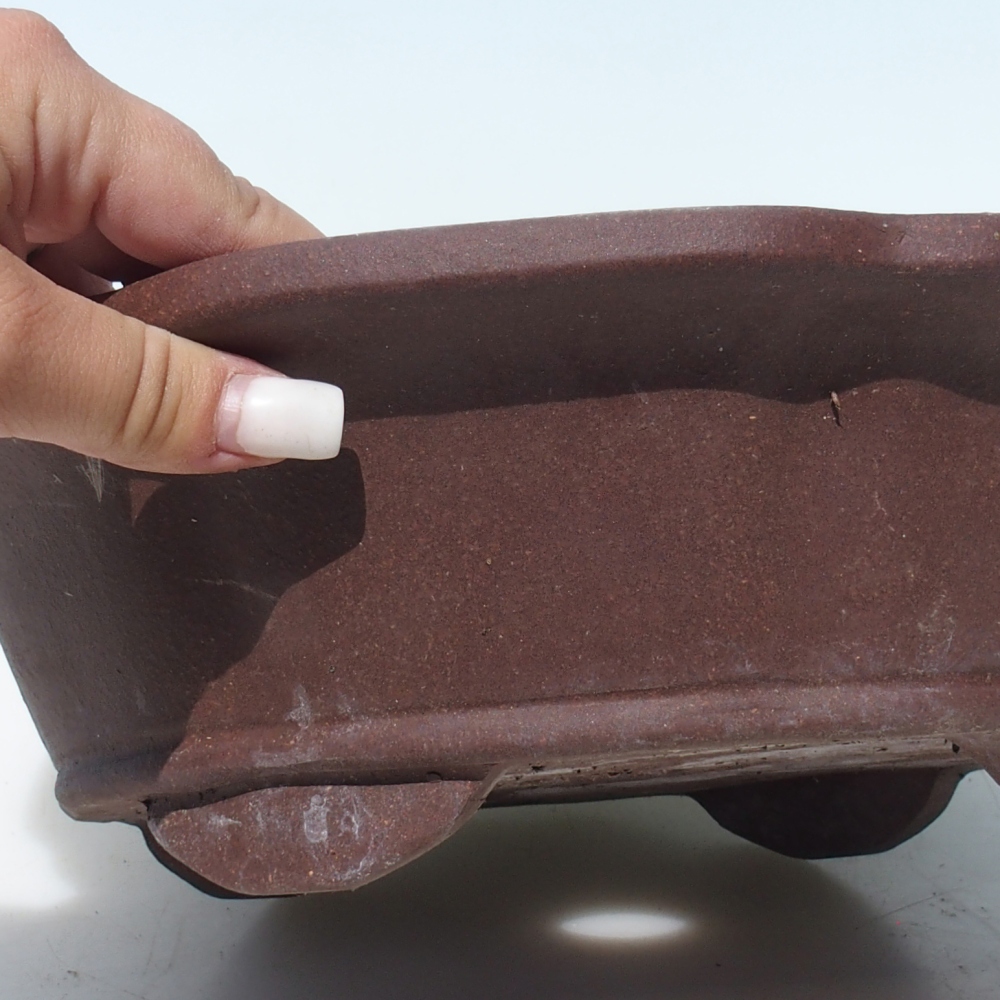 Bonsaischaal 30 x 30 x 9 cm berken bruin