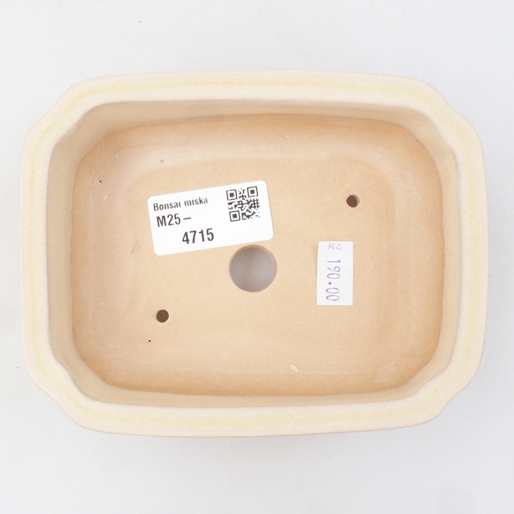 Bonsaischaal van keramiek 14 x 11 x 4 cm, kleur beige