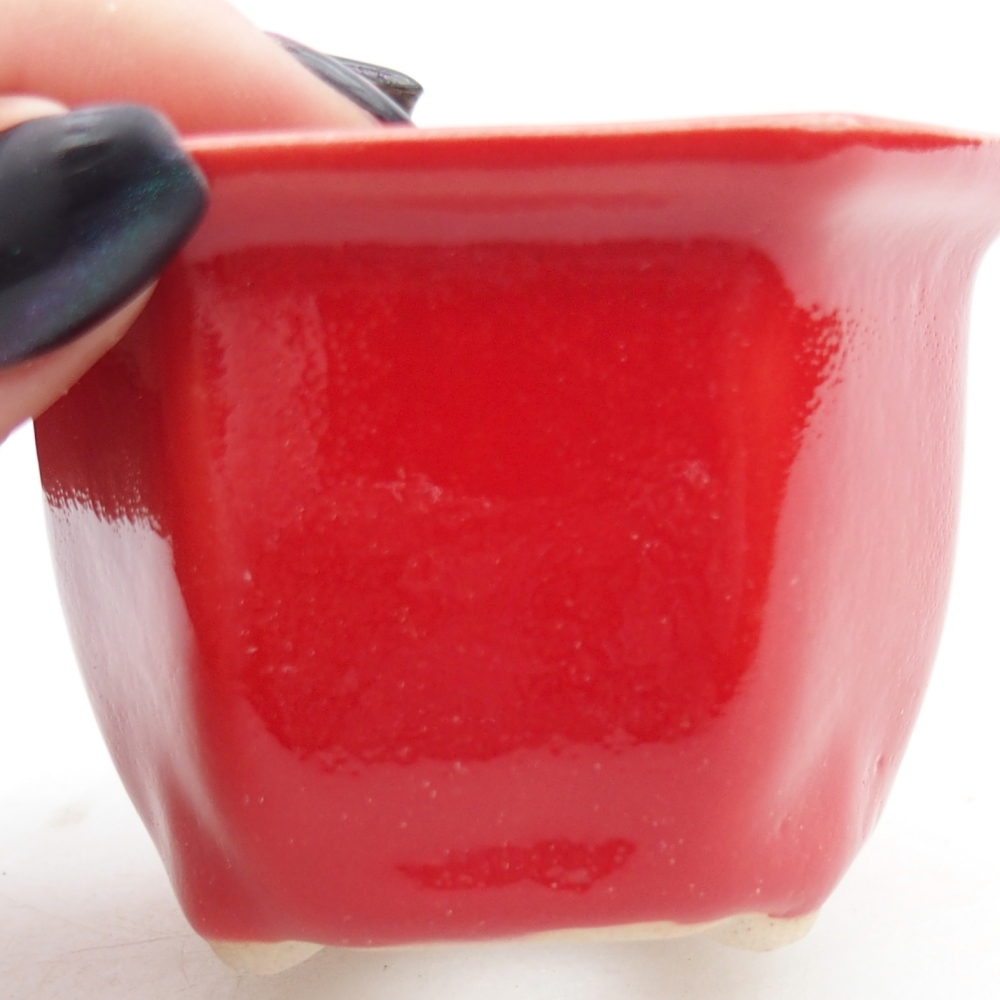Mini bonsaischaal 7 x 6,5 x 5 cm, kleur rood