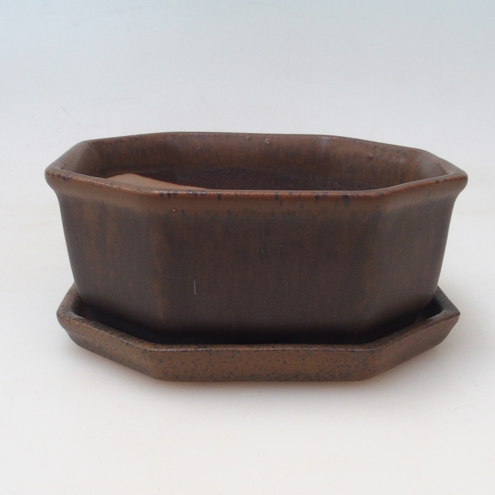 Bonsaischaal + schotel H13 - 12,5x12,5 x4,5 cm - bruin