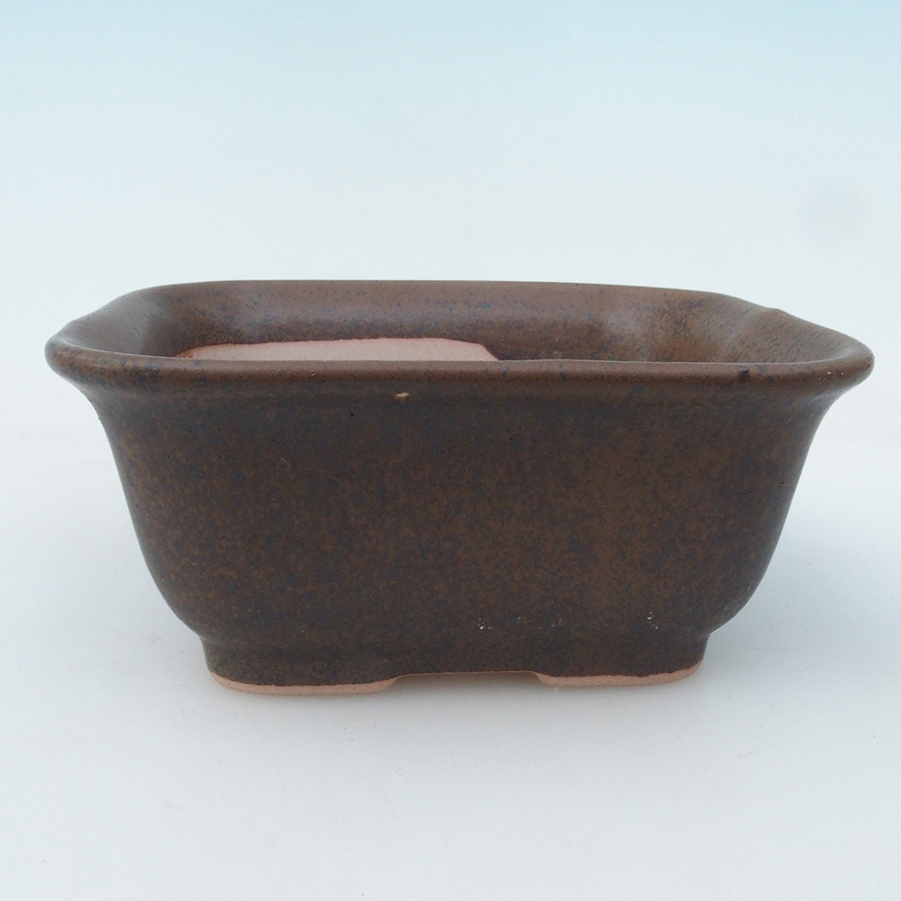 Bonsai kom + schotel H38 - 12x10x5,5 cm - bruin