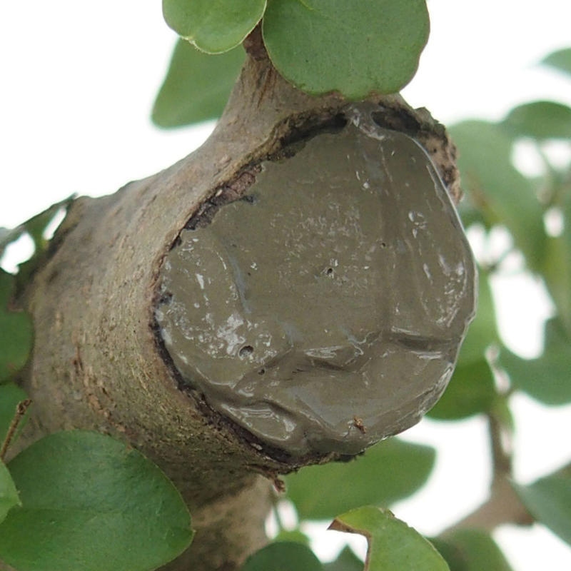 LAC Balsem 385g met kwast