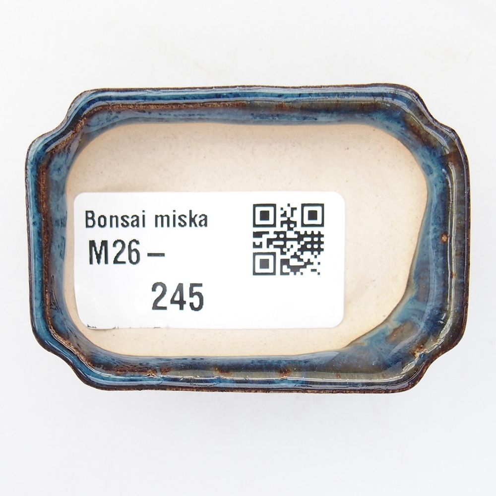 Mini bonsaischaal 6 x 4 x 1,5 cm, kleur blauw