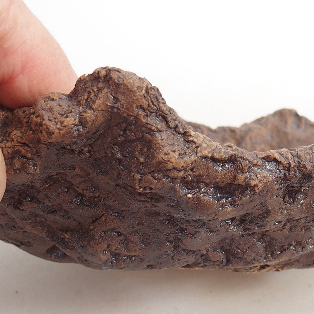 Keramisch Schelp 20 x 14 x 7 cm , kleur bruin