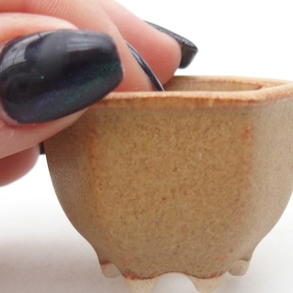 Mini bonsaischaal 4 x 3,5 x 3 cm, bruin