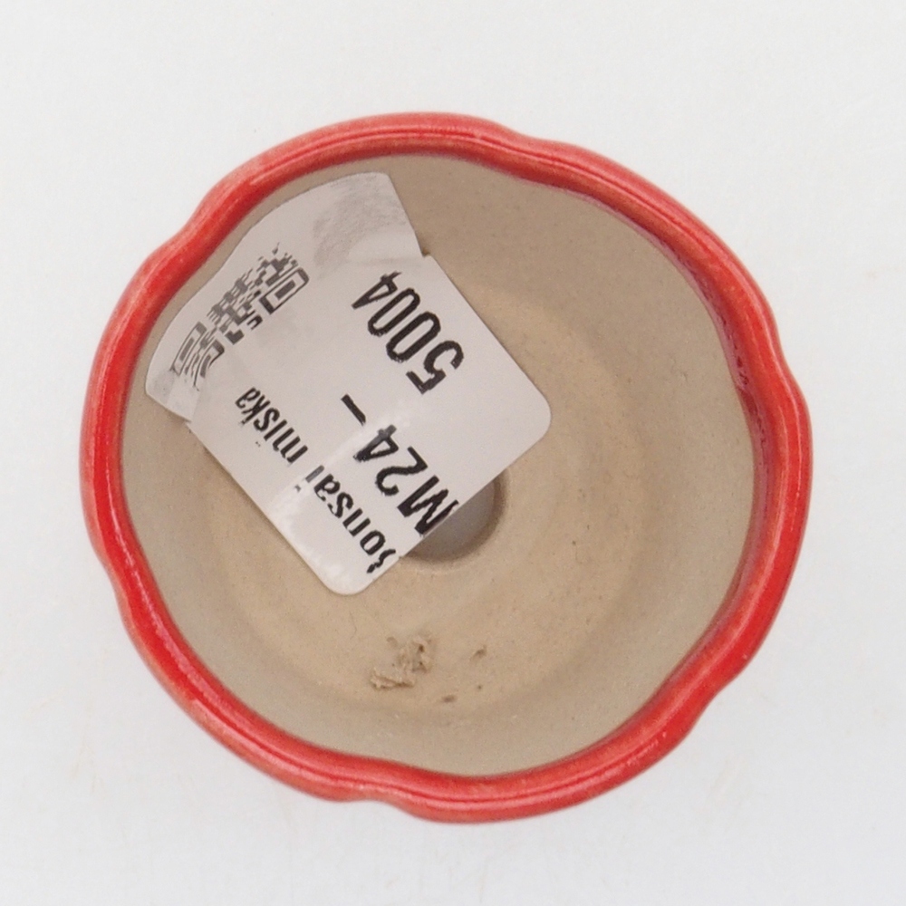 Mini bonsaischaal 4 x 4 x 4 cm, kleur rood