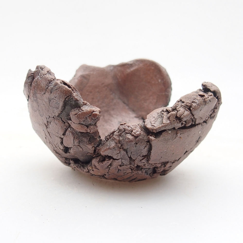 Keramische schelp 6 x 6 x 4 cm , kleur bruin