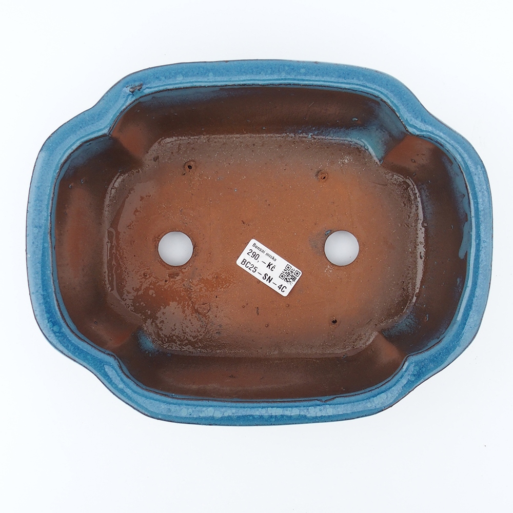 Kom 26 x 20 x 8,5 cm blauw