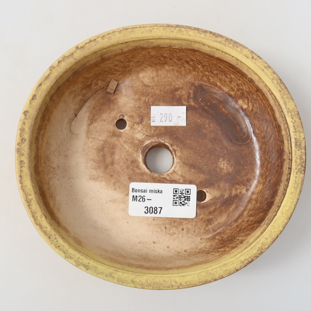Keramische bonsaipot 15,5 x 14,5 x 4 cm, kleur: geel