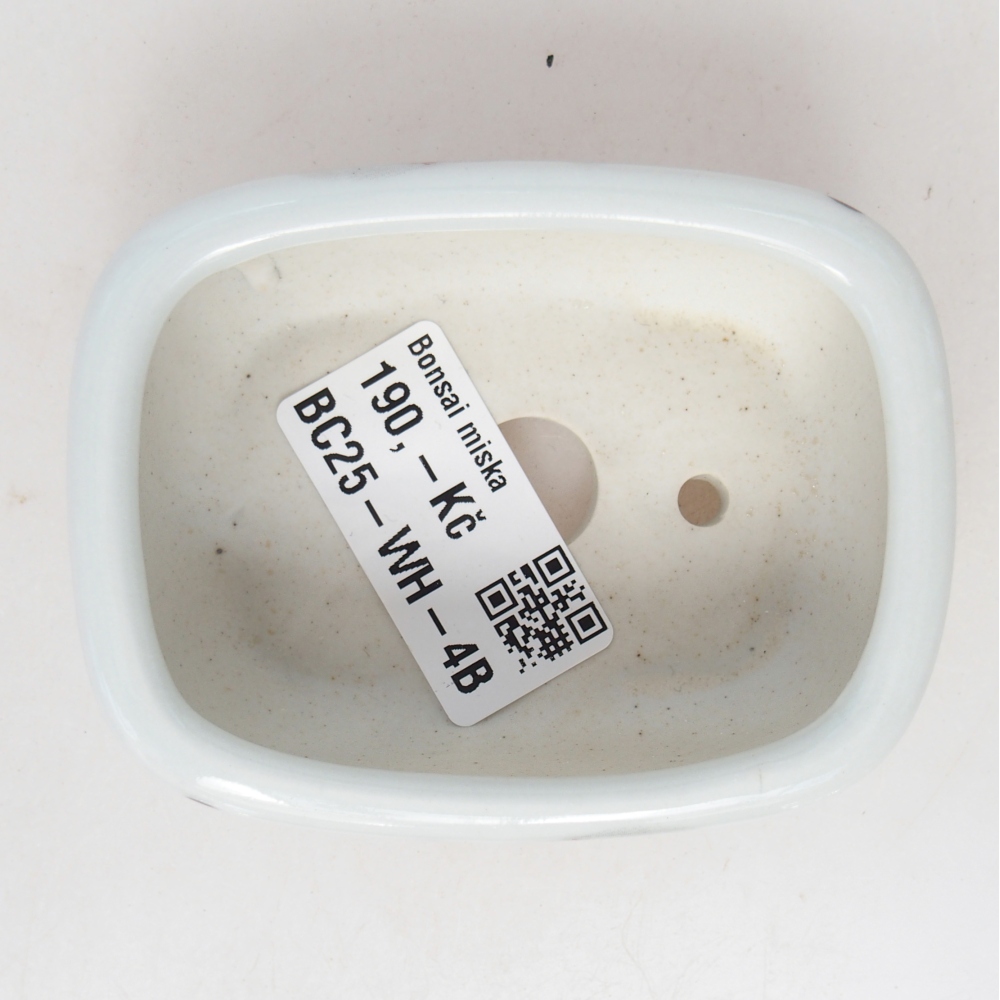 Mini bonsaischaal 8 x 6 x 3 cm, wit