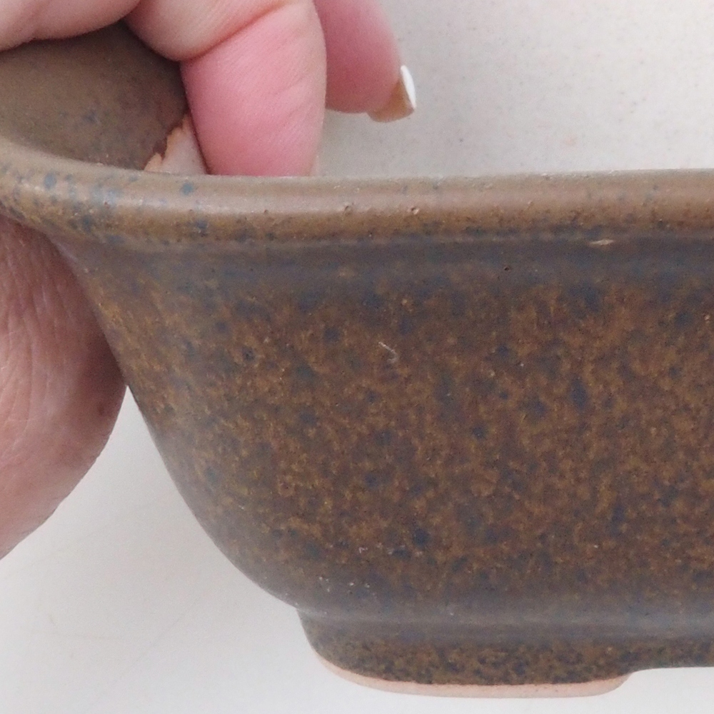 Bonsaischaal H38 - 12 x 10 x 5,5 cm - bruin