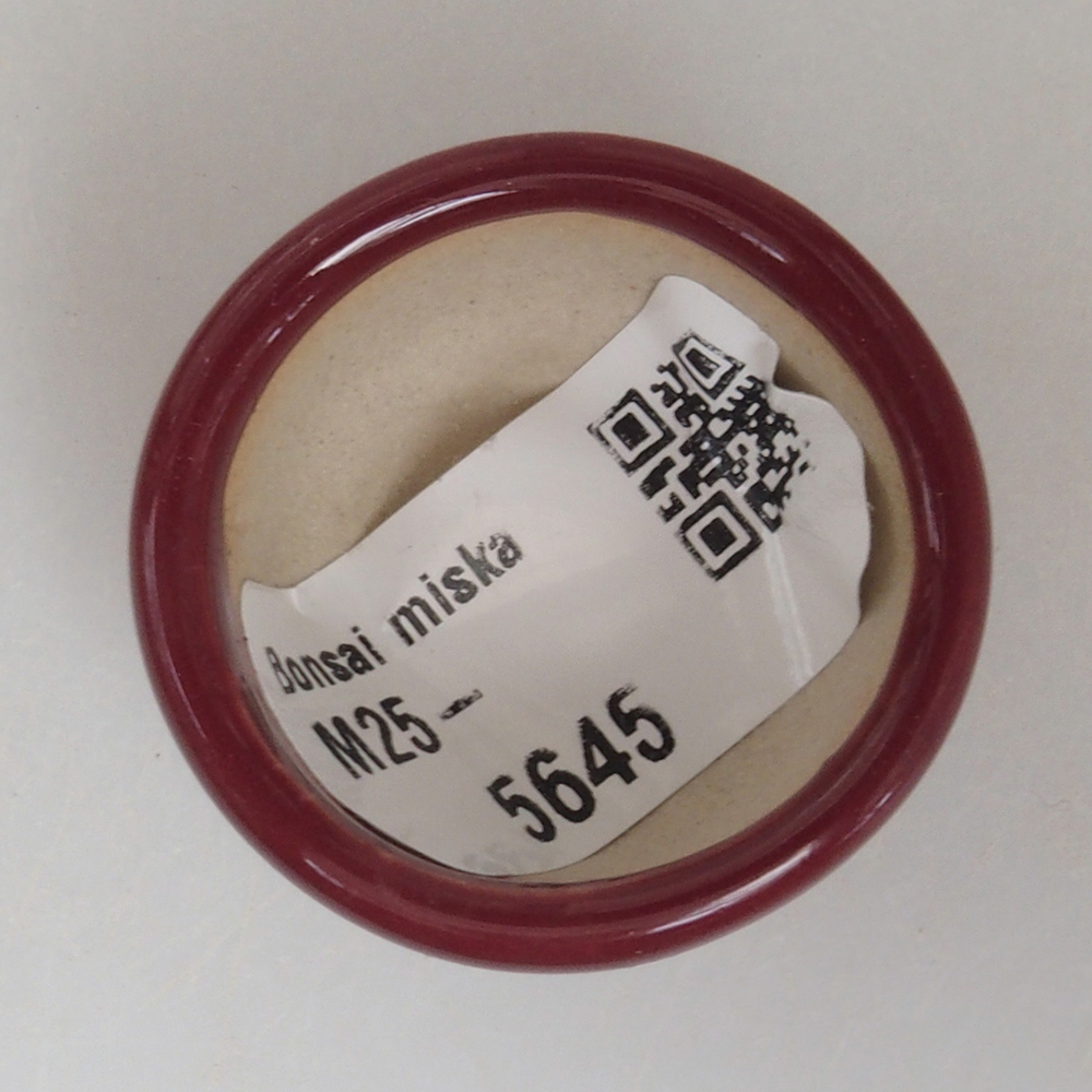 Mini bonsaischaal 3,5 x 3,5 x 2 cm, bordeauxrood