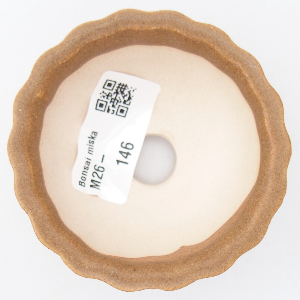 Mini bonsaischaal 7,5 x 7,5 x 3,5 cm, bruin
