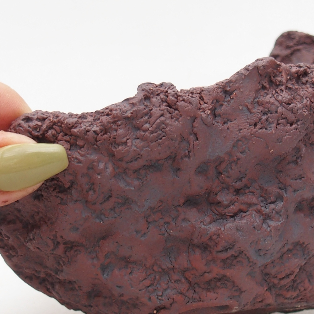 Keramisch Schelp 14 x 13 x 11,5 cm , kleur bruin