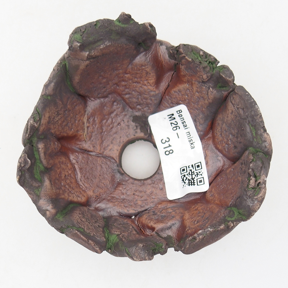 Keramisch Schelp 9,5 x 8,5 x 6 cm , kleur groen