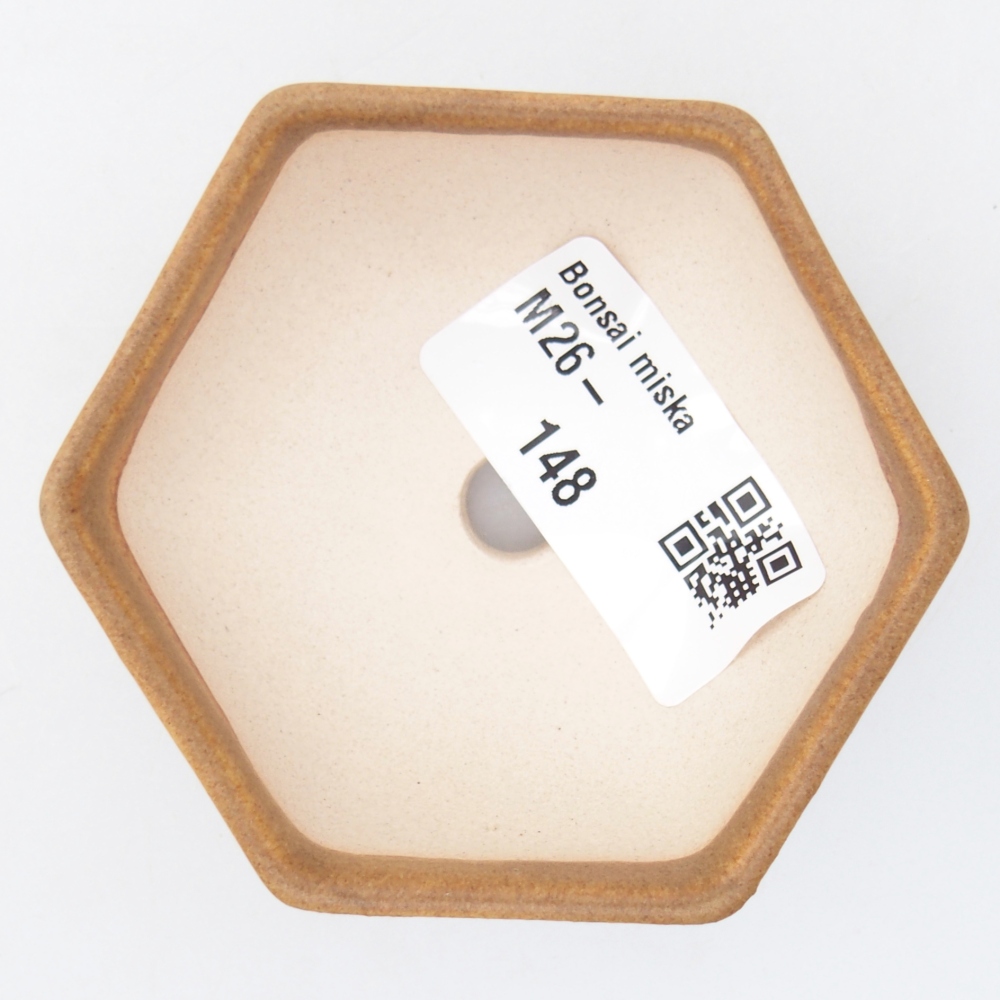 Mini bonsaischaal 7 x 6 x 3 cm, bruin