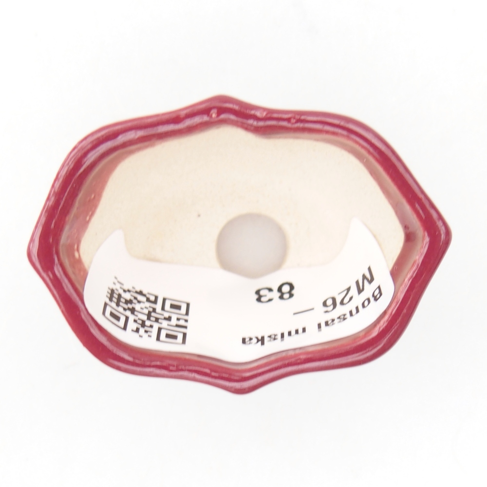 Mini bonsaischaal 4,5 x 3 x 2,5 cm, bordeauxrood