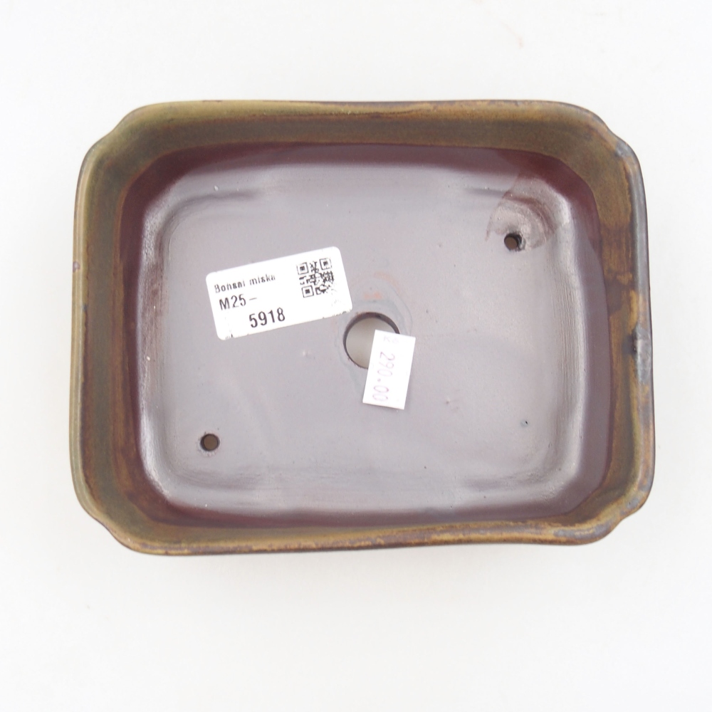 Bonsaischaal van keramiek 22 x 17 x 5 cm, groen