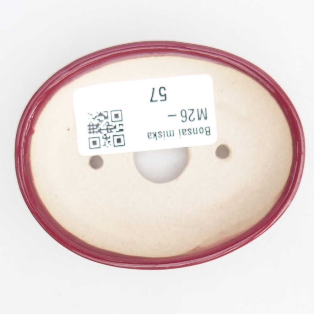 Mini bonsaischaal 8 x 6 x 2 cm, bordeauxrood