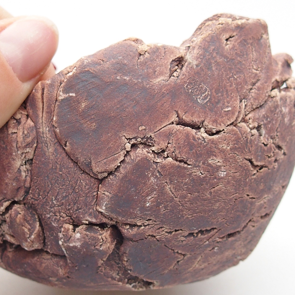 Keramisch Schelp 9,5 x 9 x 7 cm , kleur bruin