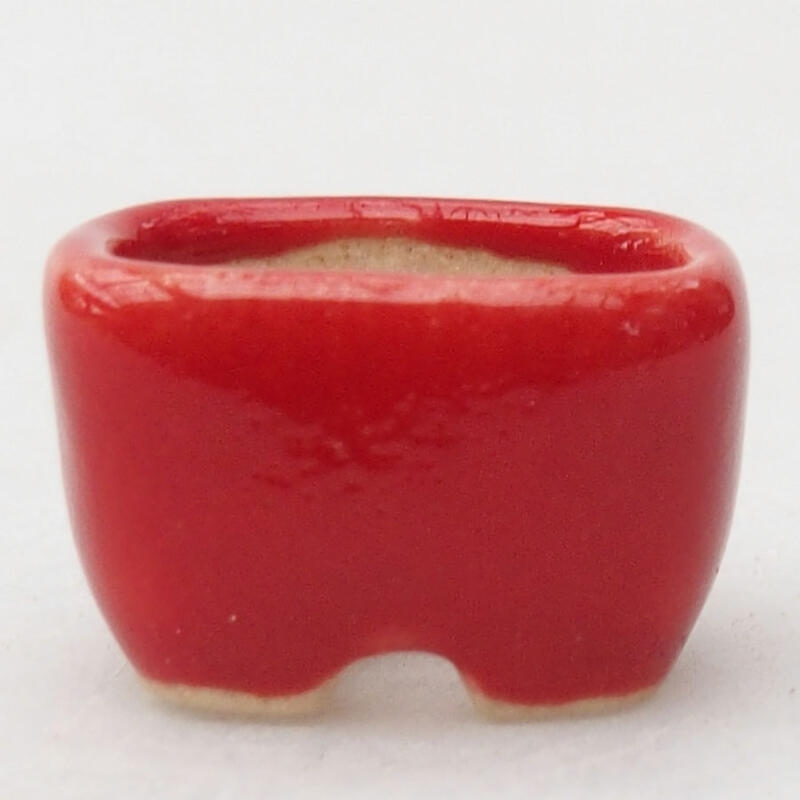 Mini-bonsaipotje 1,5 x 1 x 1 cm, kleur: rood