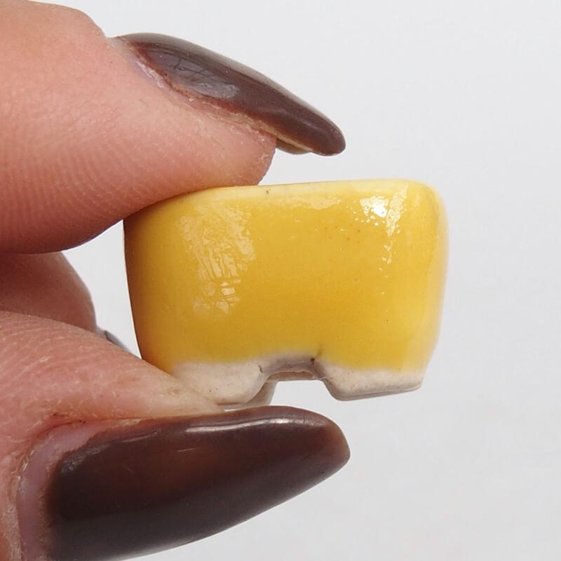 Mini bonsaischaal 2,5 x 1,5 x 1 cm, geel