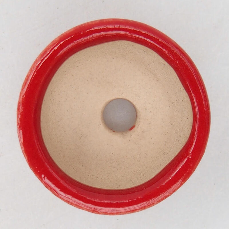 Mini bonsaischaal 2,5 x 2,5 x 1,5 cm, kleur rood