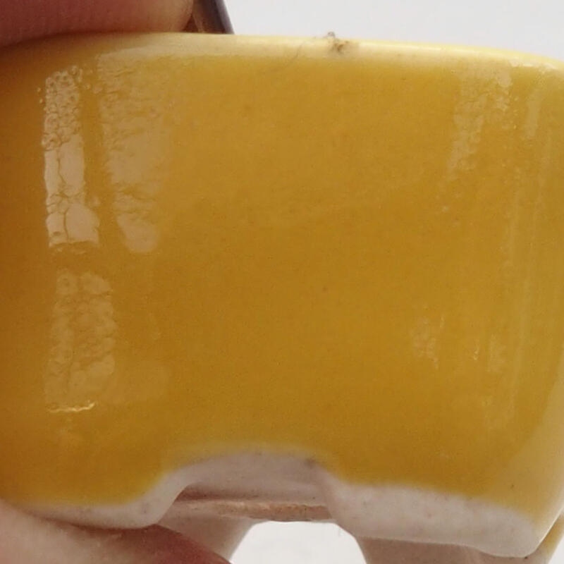 Mini bonsaischaal 2,5 x 2,5 x 1,5 cm, geel