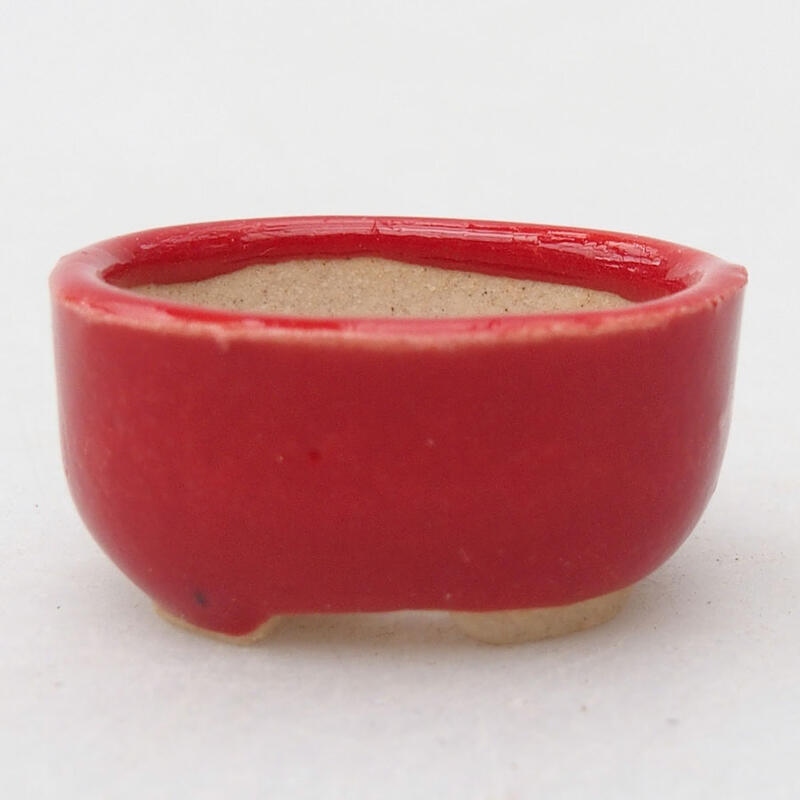Mini bonsaischaal 2,5 x 2 x 1 cm, kleur rood