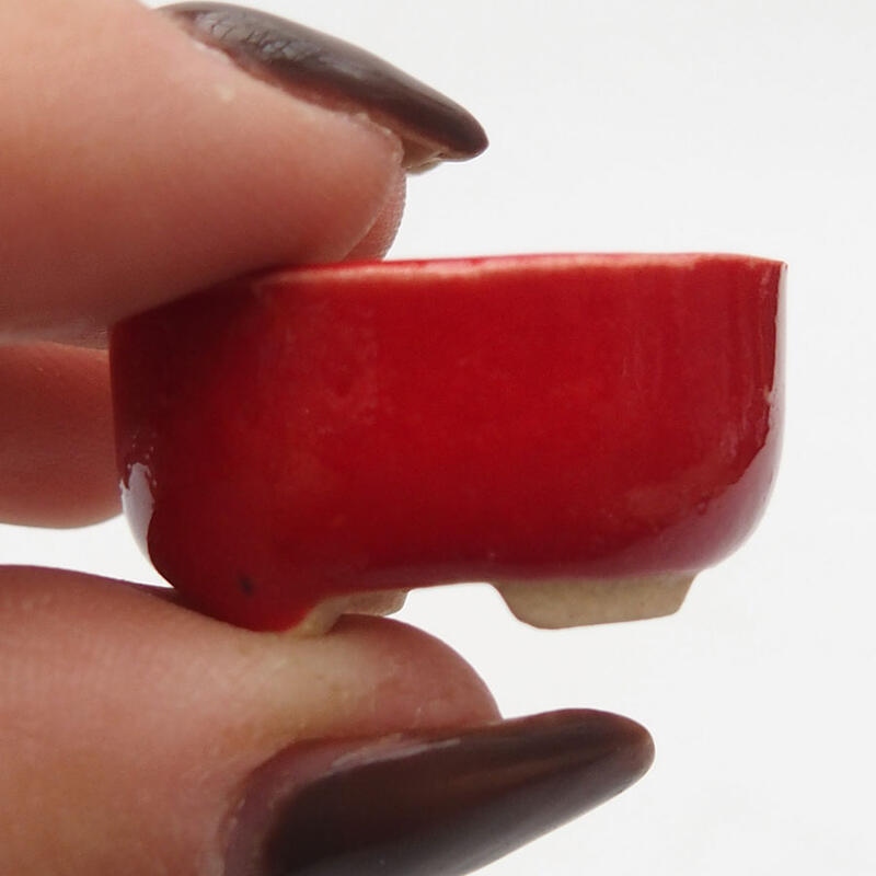 Mini bonsaischaal 2,5 x 2 x 1 cm, kleur rood