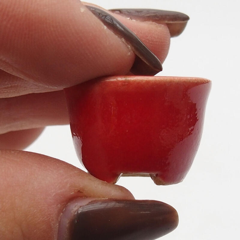 Mini bonsaischaal 2 x 2 x 1,5 cm, kleur rood