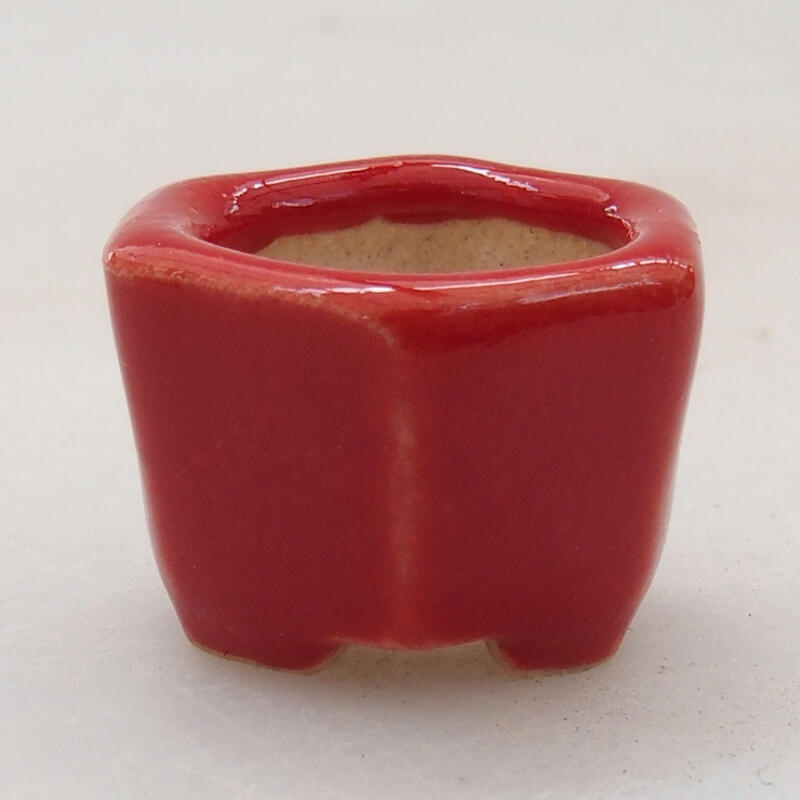 Mini bonsaischaal 2 x 2 x 1,5 cm, kleur rood