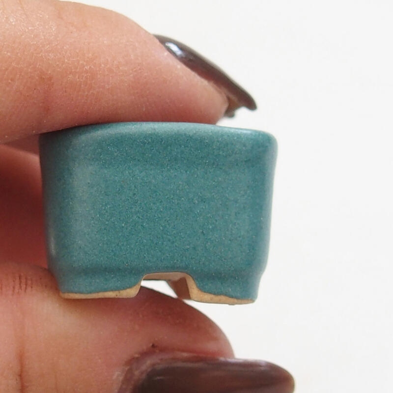 Mini bonsaischaal 2 x 2 x 1,5 cm, kleur blauw