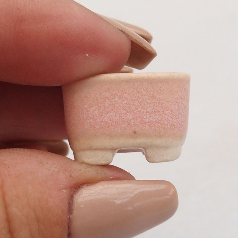 Mini bonsaischaal 2 x 2 x 1,5 cm, roze