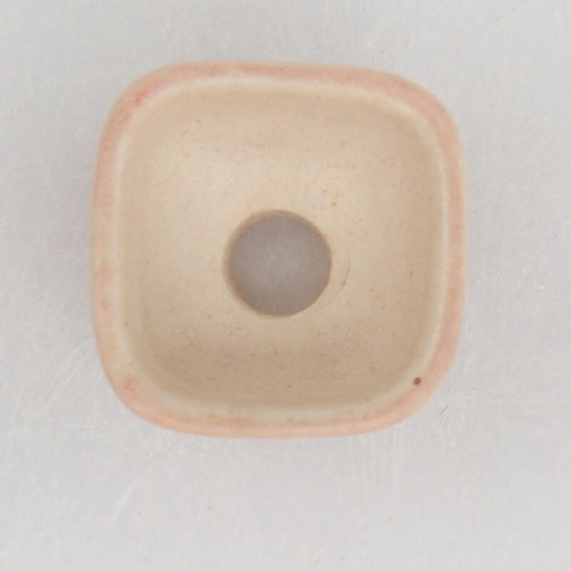 Mini bonsaischaal 2 x 2 x 1,5 cm, roze