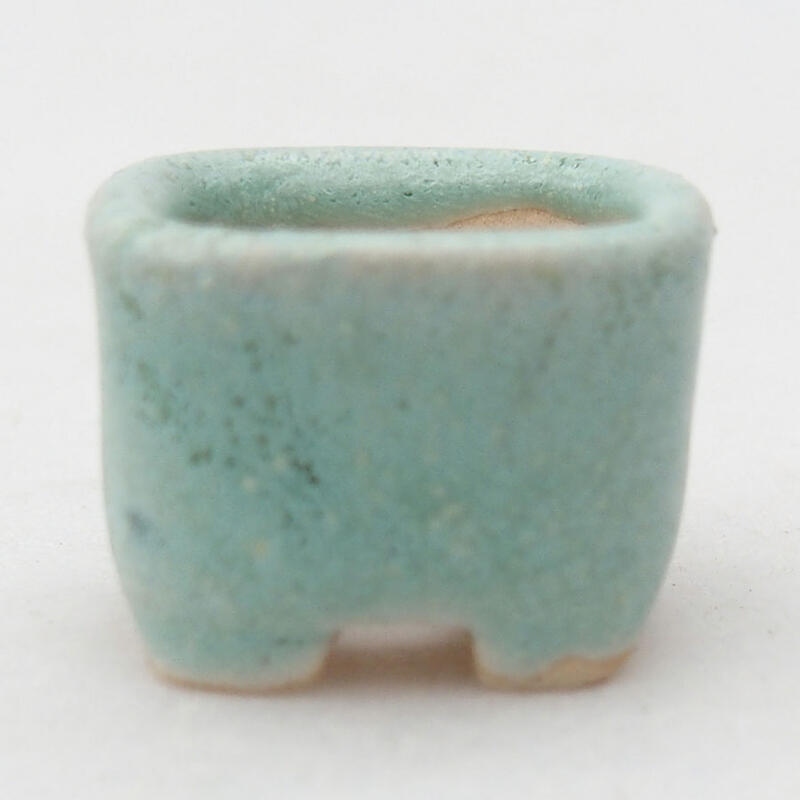 Mini bonsaischaal 2 x 2 x 1,5 cm, groen