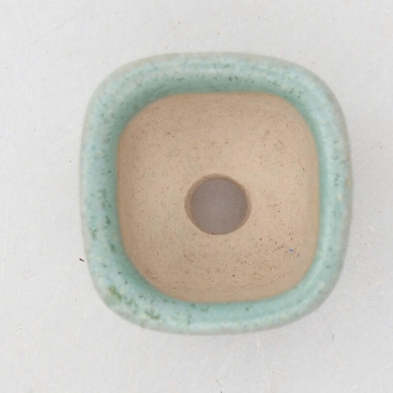 Mini bonsaischaal 2 x 2 x 1,5 cm, groen