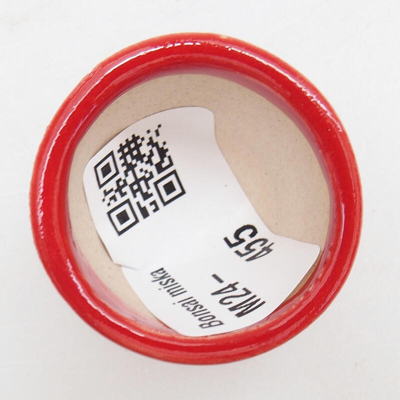 Mini bonsaischaal 3,5 x 3,5 x 2,5 cm, kleur rood