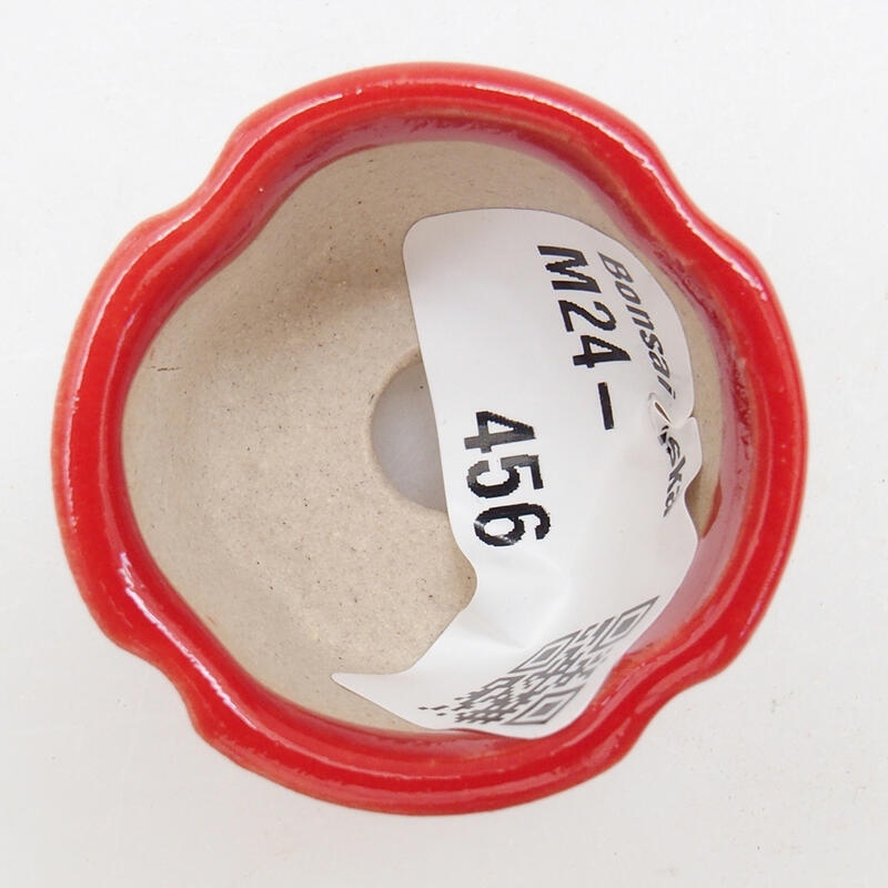Mini bonsaischaal 3,5 x 3,5 x 2,5 cm, kleur rood