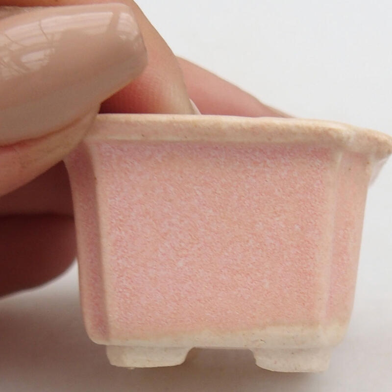 Mini bonsaischaal 3,5 x 3,5 x 2,5 cm, roze
