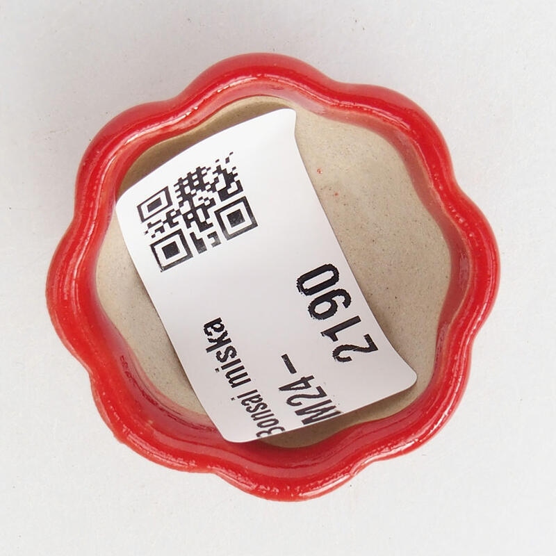 Mini bonsaischaal 3,5 x 3,5 x 2 cm, kleur rood