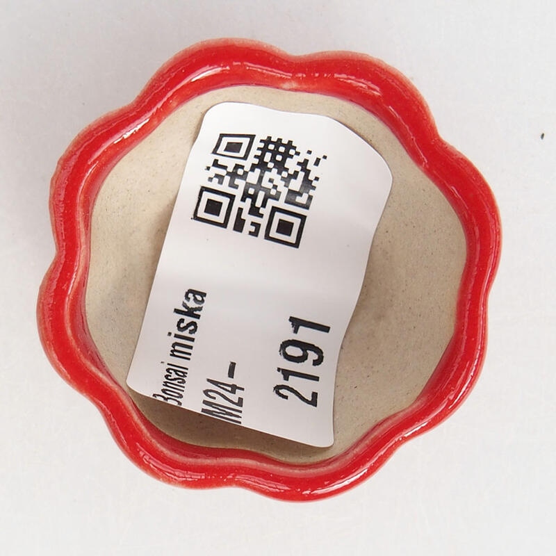 Mini bonsaischaal 3,5 x 3,5 x 2 cm, kleur rood