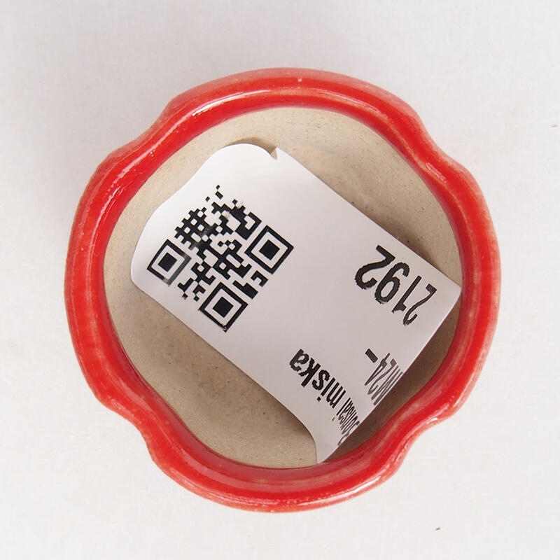 Mini bonsaischaal 3,5 x 3,5 x 2 cm, kleur rood