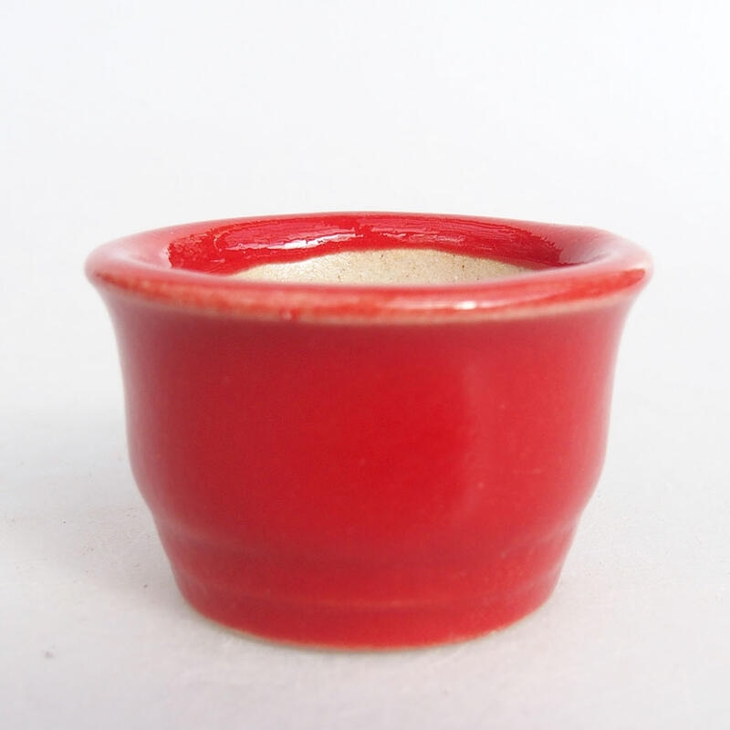 Mini bonsaischaal 3,5 x 3,5 x 2 cm, kleur rood