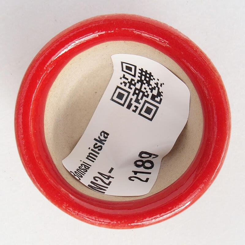 Mini bonsaischaal 3,5 x 3,5 x 2 cm, kleur rood